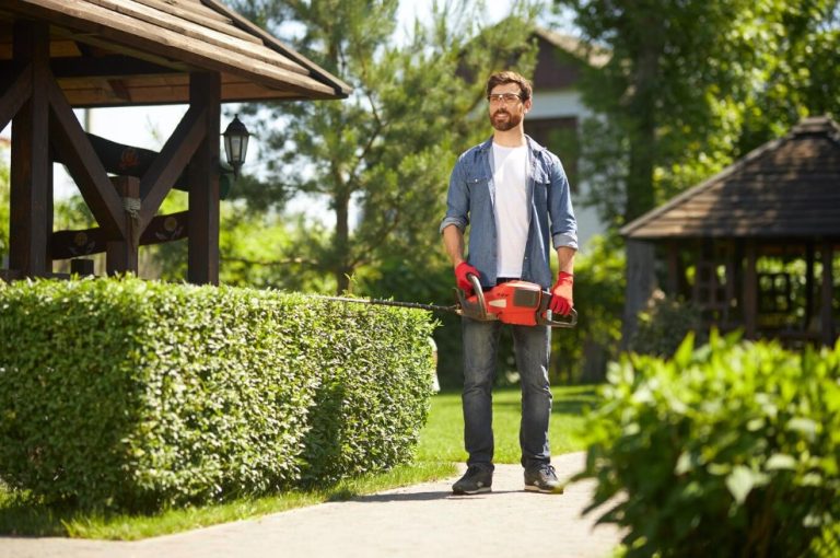 How to Clear Your Yard and Get Paid for It